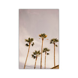 Coastal Sunrise Nature Landscape Wall Poster Canvas Art Painting