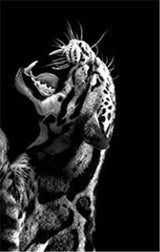 Black And White Animal Tiger Art Print Wall Painting Canvas Picture