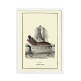 Funny Animal Print Retro Wall Poster Dressing Room Art